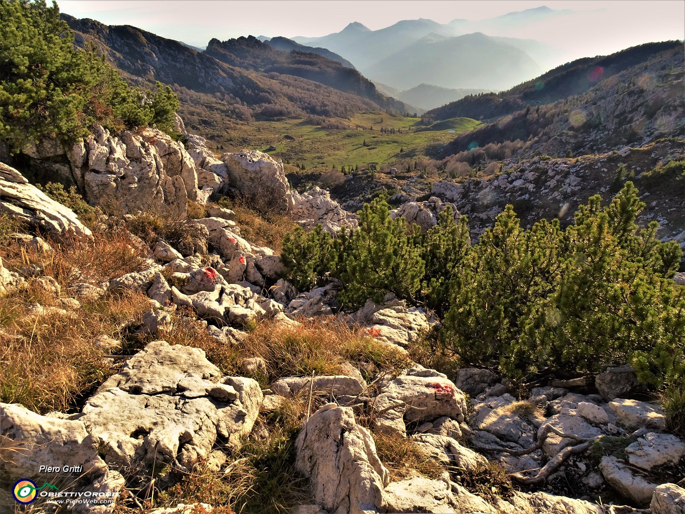 76 In vista della radura prativa delle Baite d'Alben.JPG